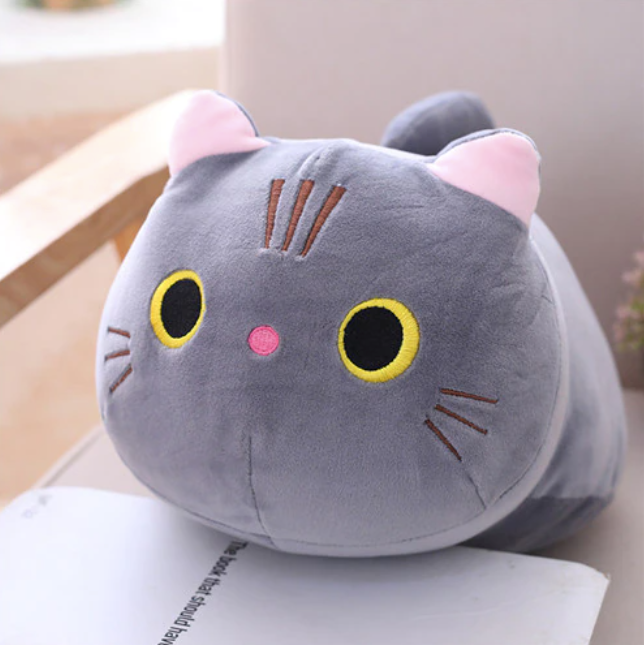 Soft Kitty Plushie