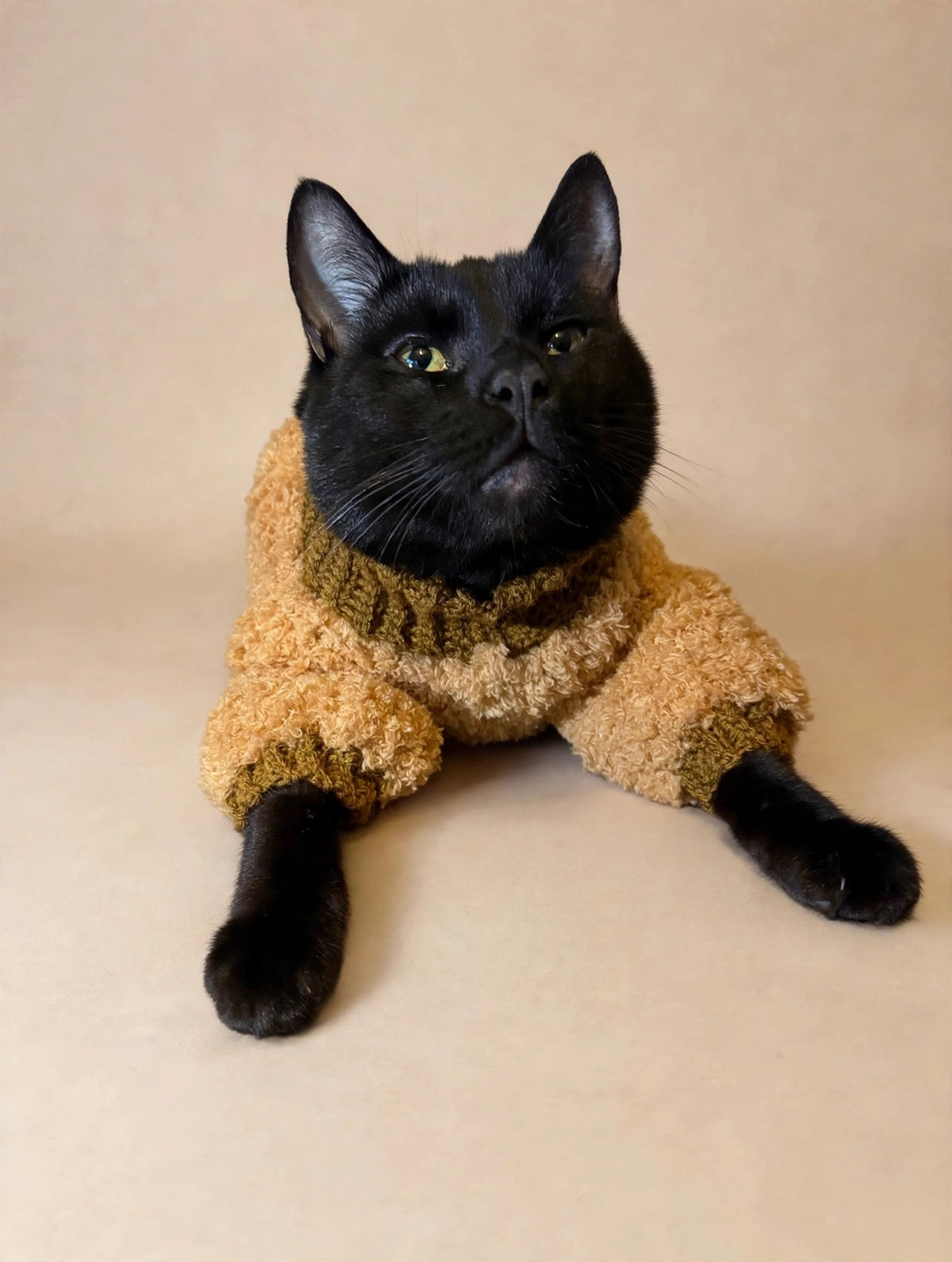 The Couture Teddy