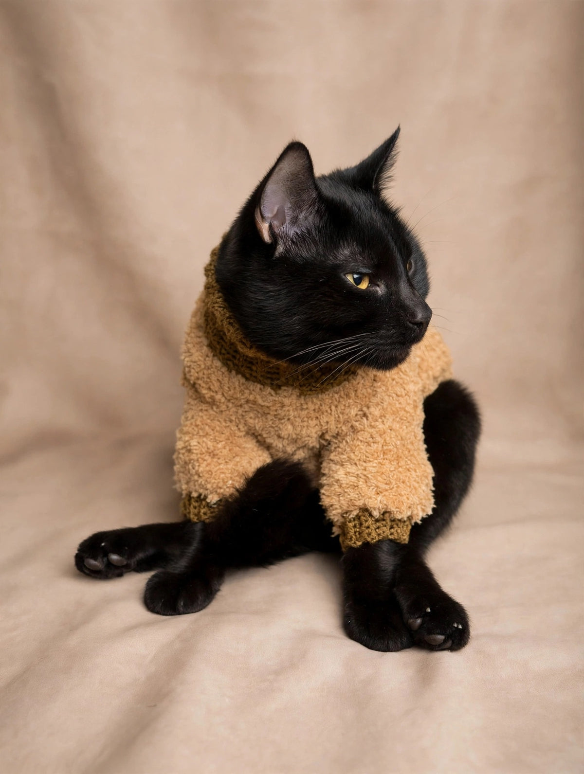 The Couture Teddy